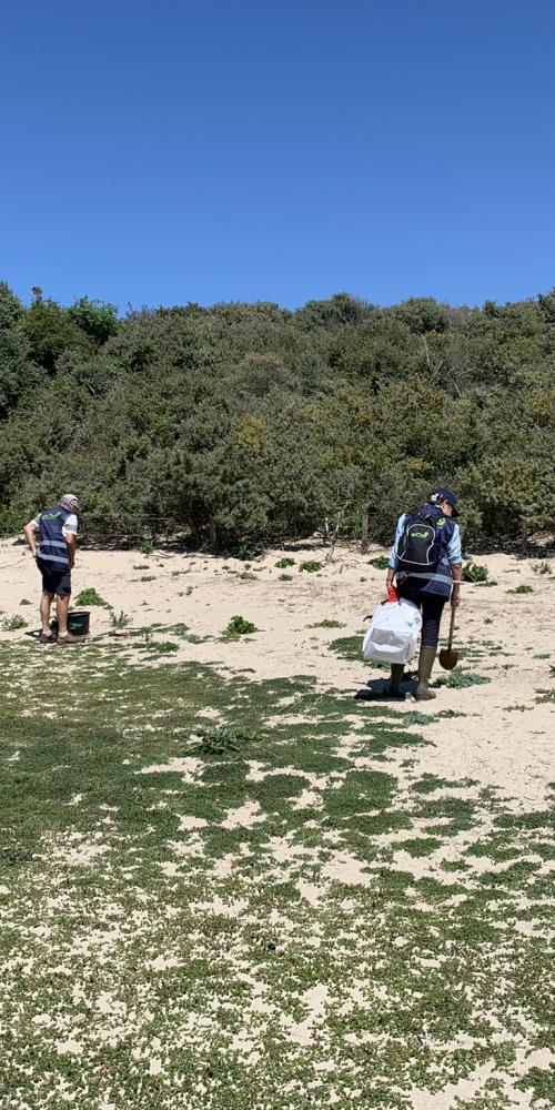 Vrijwilligers maken het strand schoon 