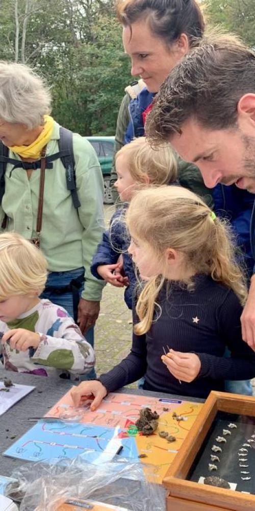 Familie pluist uilenballen uit