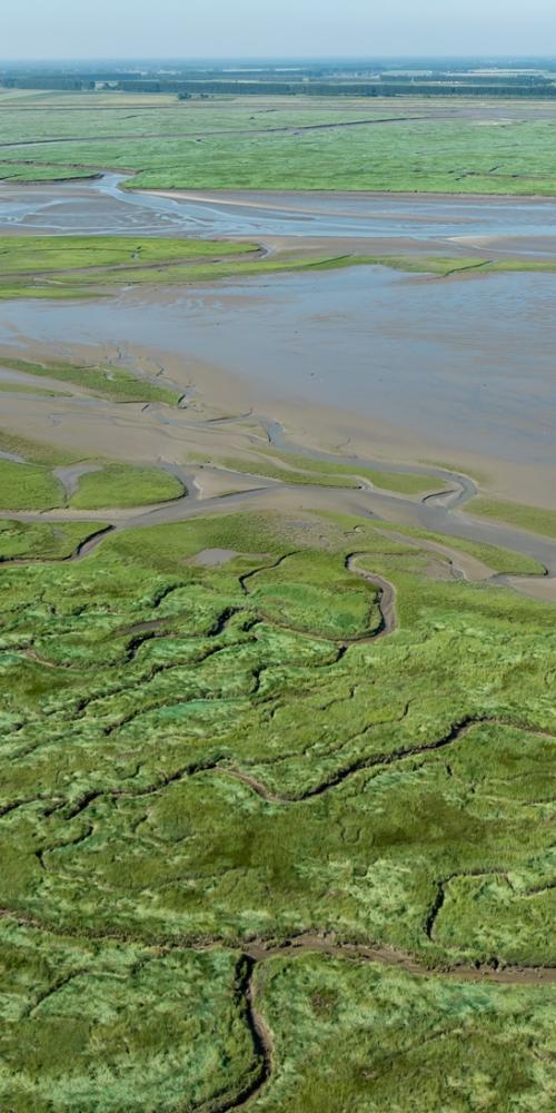 Luchtfoto Saeftinghe met tekening van krekenstelsel en een grote geul