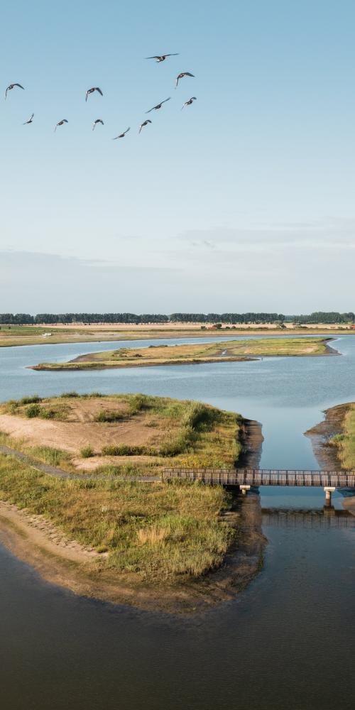 Eiland Waterdunen