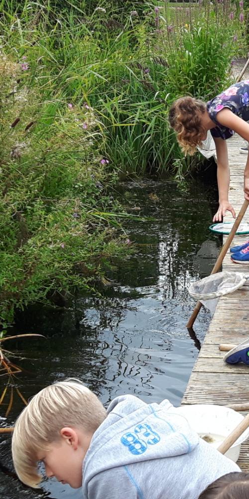 Kinderen met schepnet bij water tijdens Terra Maris viert lente