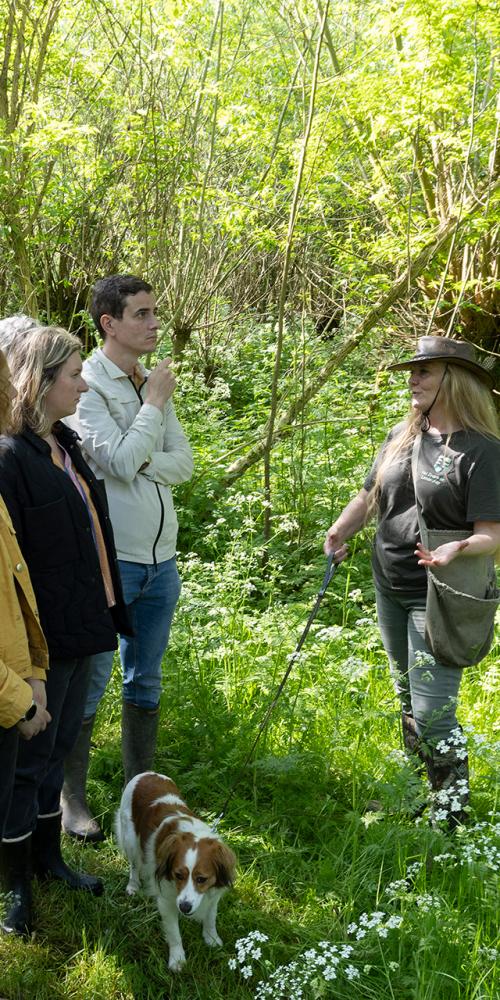 excursie eendenkooi