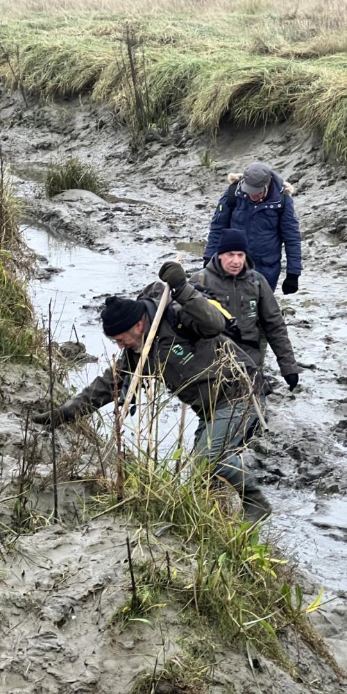 Excursie Saeftinghe naar de Schelde