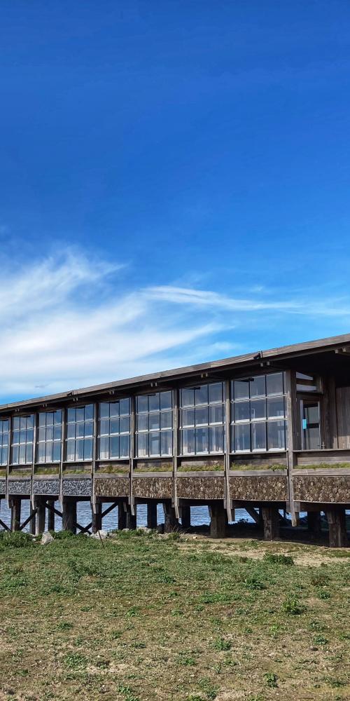 Veldstation Verdronken Land van Saeftinghe