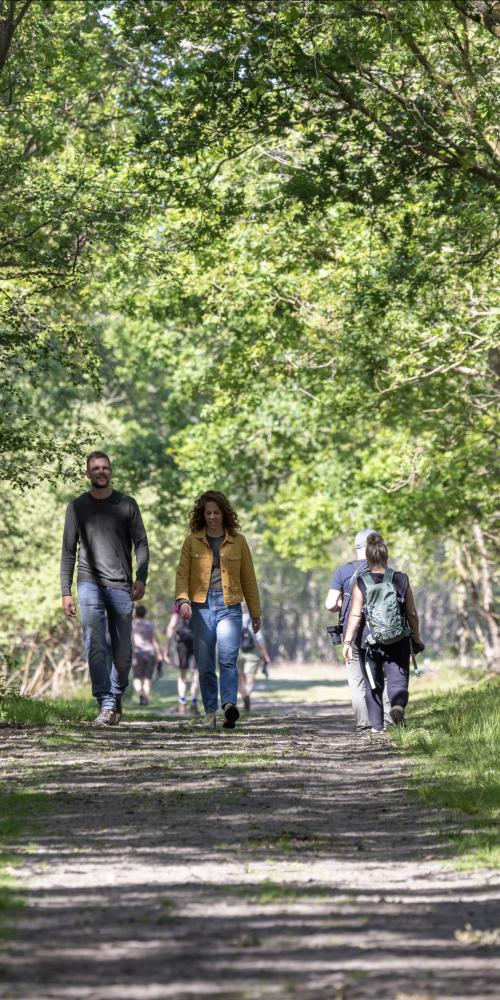 Wandelaars in bos Oranjezon Vrouwenpolder