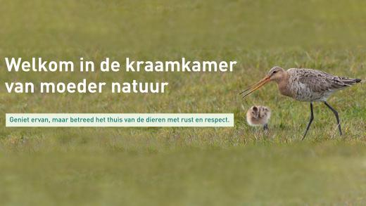 Kraamkamer Grutto