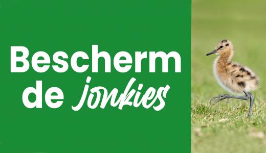 Campagnebeeld Bescherm de jonkies