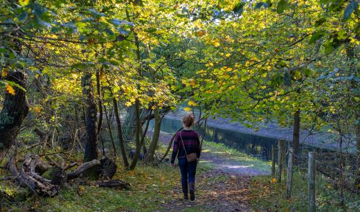 Wandelaar in een herfstbos
