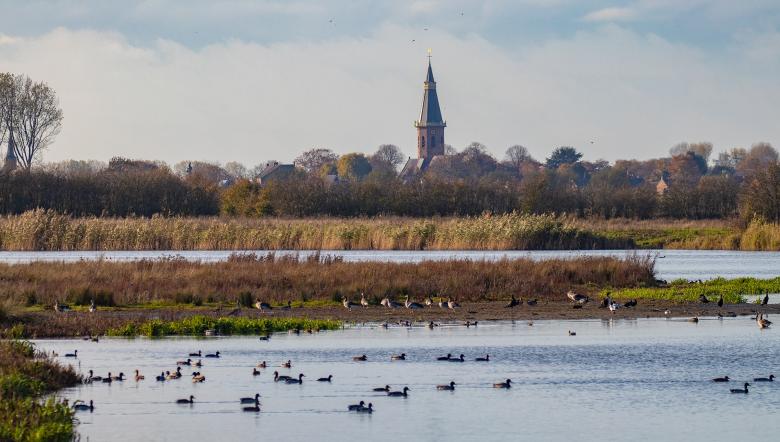 Baarzandse Kreek