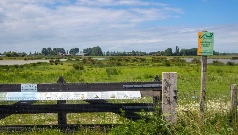 Weidehek in de Sint Laurense Weihoek