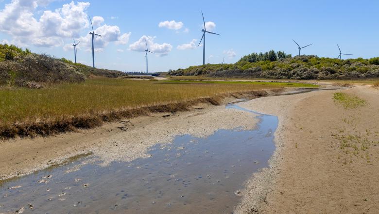 Landschap met zand, water en windmolens op de achtergrond