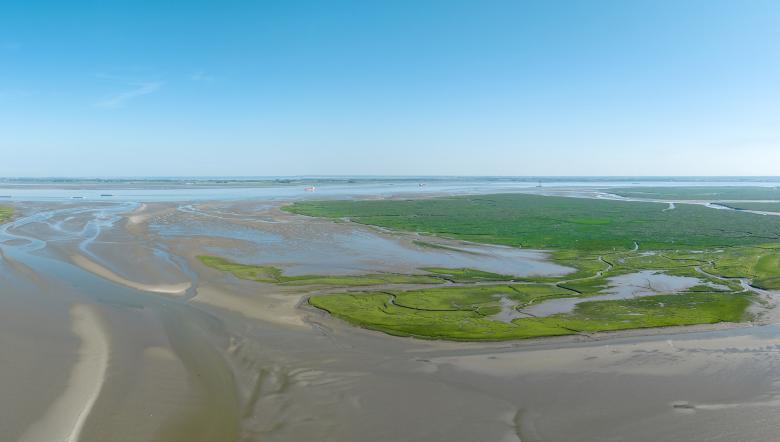 Verdronekn Land van Saeftinghe