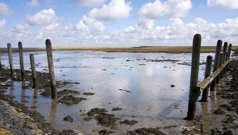 Oesterput Inlagen Noord-Beveland 