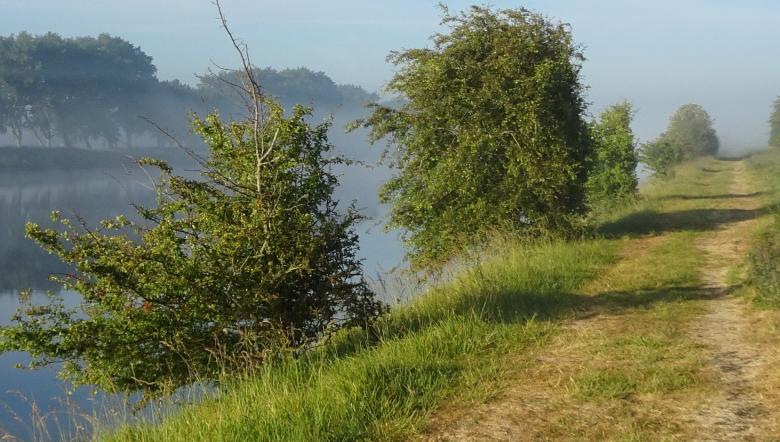 Mist boven het water met daarnaast groene bomen en een grassig pad