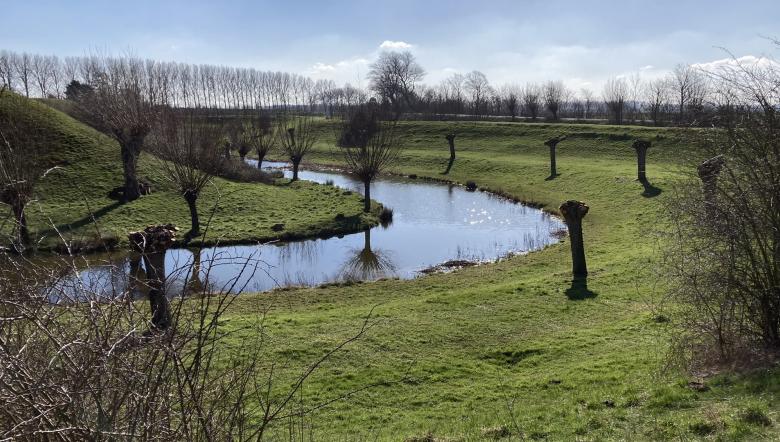 Genotte wilgen langs meanderende rivier