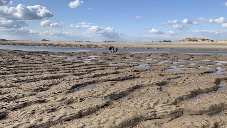 mensen lopen over het strand van Het Zwin