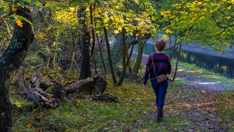 Wandelaar in het bos van Oranjezon