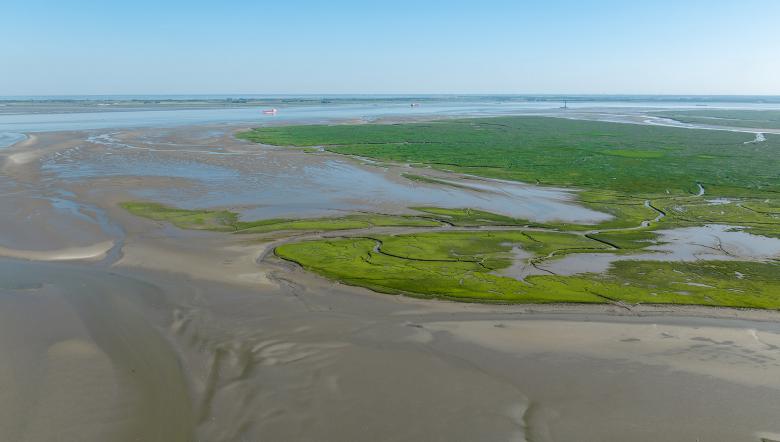 Het Verdronken Land van Saeftinghe