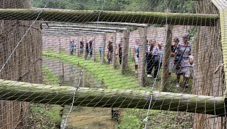 Groep mensen loopt door Eendenkooi