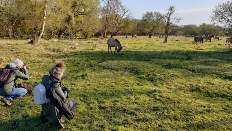 Fotografen op de Slikken van de Heen