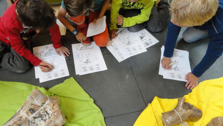 Excursie van muis tot mammoet Terra Maris