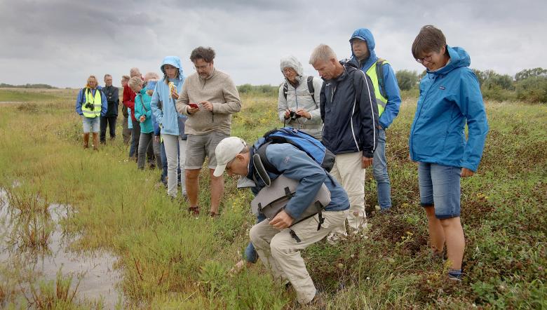 wandelexcursie Waterdunen