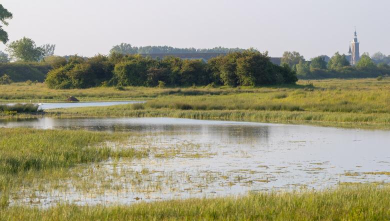 Aardenburgse havenpolder