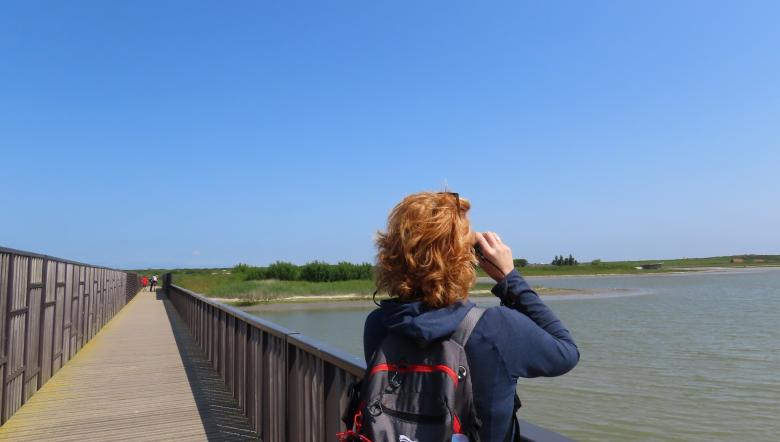 Waterdunen_brug_kijken