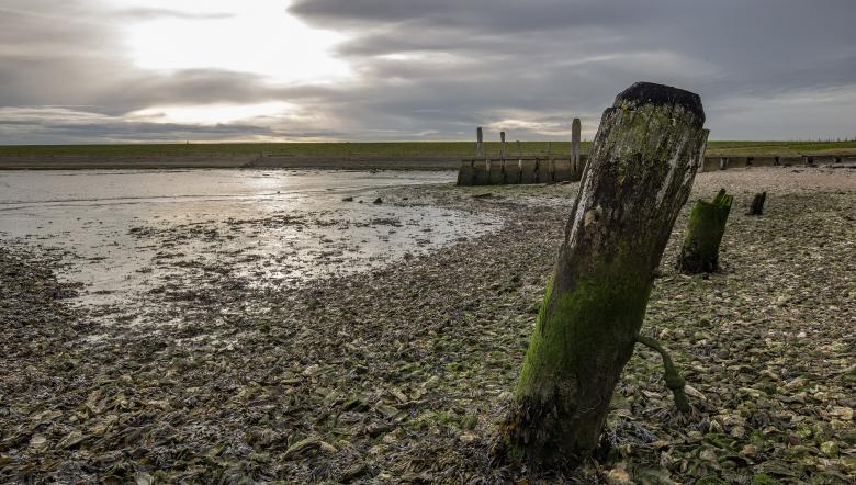 Paalhoofd in Oesterput Inlagen Noord-Beveland