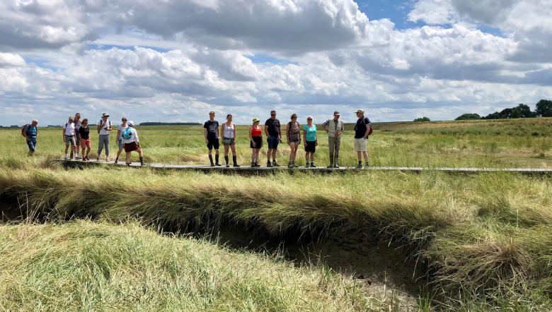 Excursiedeelnemers op Plankierpad in Saeftinghe