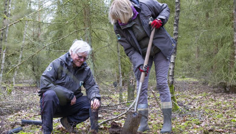 Vrijwilligers planten bomen in Clingse bossen 