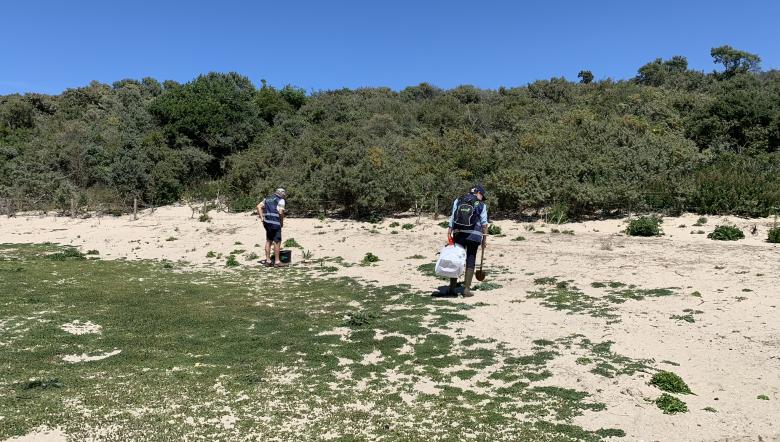 Vrijwilligers maken het strand schoon 