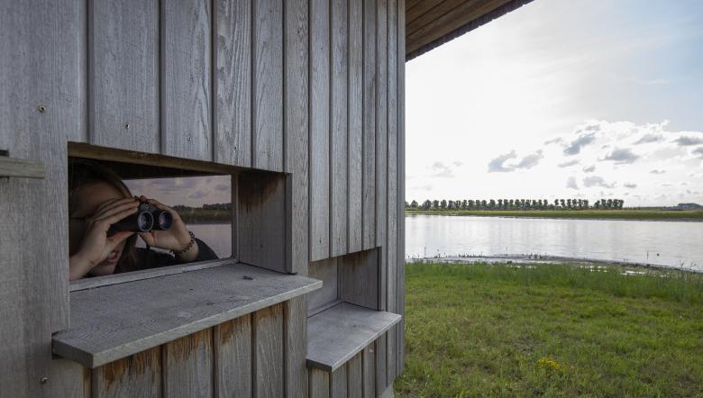 Vogels kijken vogelhut