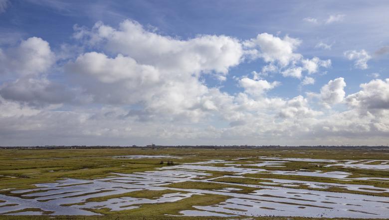 Yerseke Moer overzichtsfoto landschapstekening door kreken