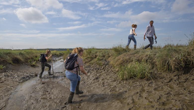 Excursie Saeftinghe wandelen door geulen