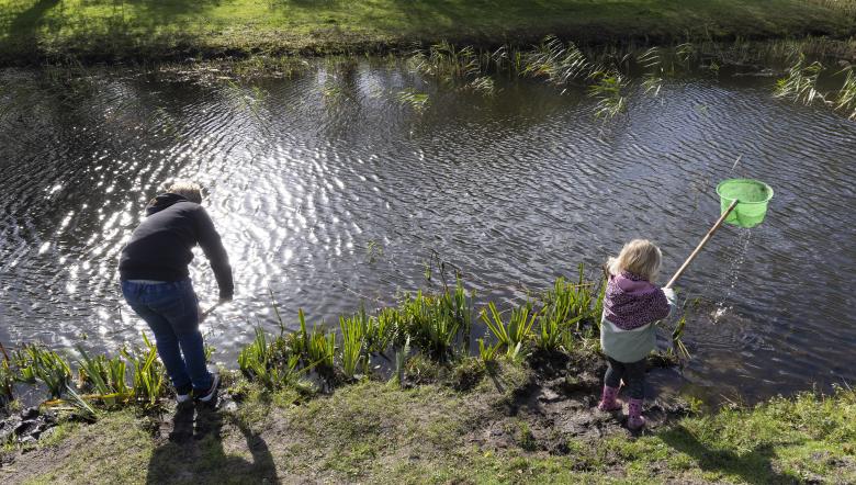 Meisje schept met netje in water
