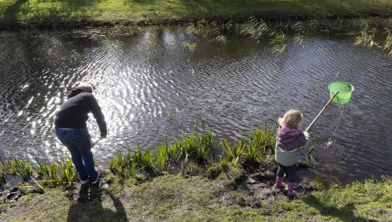 Meisje schept met netje in water 