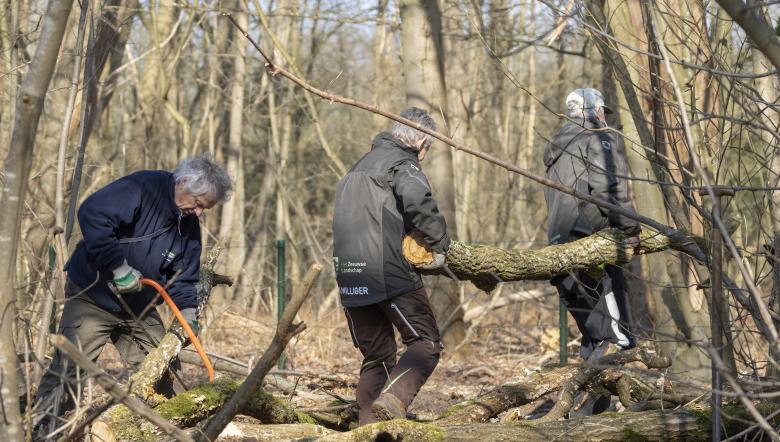 Vrijwilligers werken in het bos