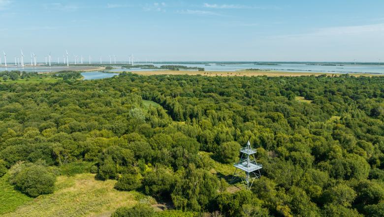 Dronebeeld Slikken van de Heen