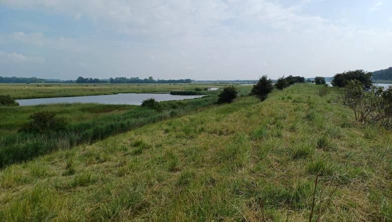 Foto van natuurgebied Oude Veerseweg gemaakt vanaf dijk