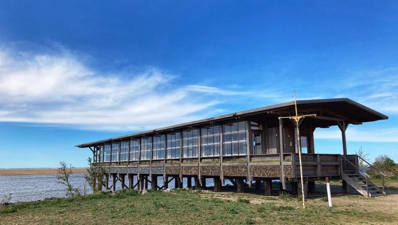 Veldstation Verdronken Land van Saeftinghe