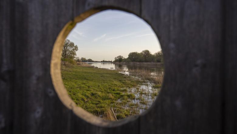 Kijkscherm Slikken van de Heen