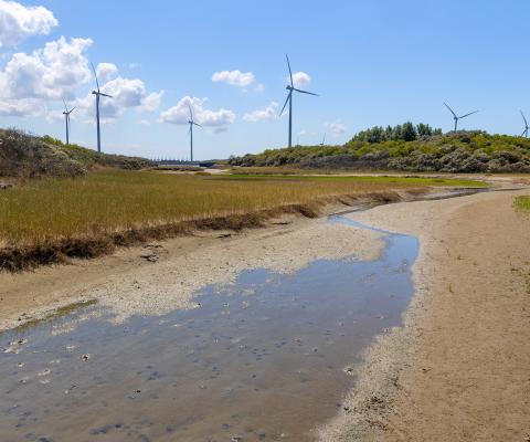 Landschap met zand, water en windmolens op de achtergrond