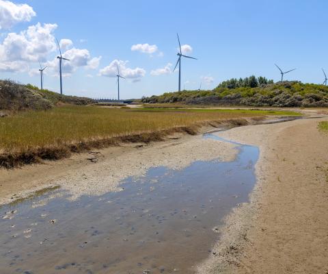 Landschap met zand, water en windmolens op de achtergrond