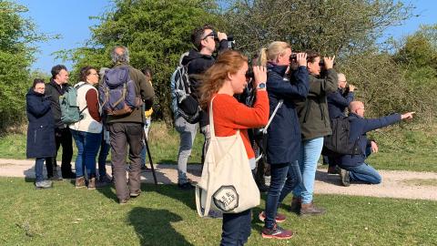 Mensen kijken met verrekijkers naar vogels 