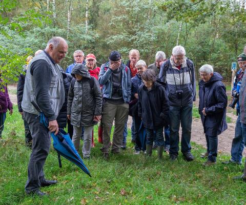 Excursie in de Waterwinbossen