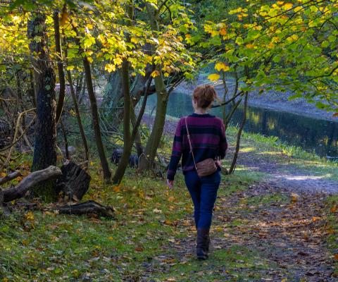 Wandelaar in het bos van Oranjezon