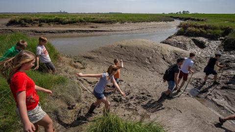 Groep mensen in lanschap Saeftinghe