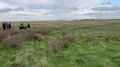Groep mensen loopt over plankierpad