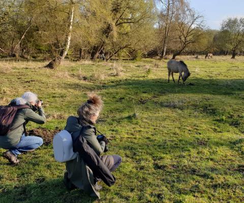Fotografen op de Slikken van de Heen